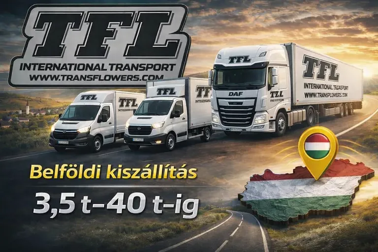 Belföldi kiszállítás-DAF